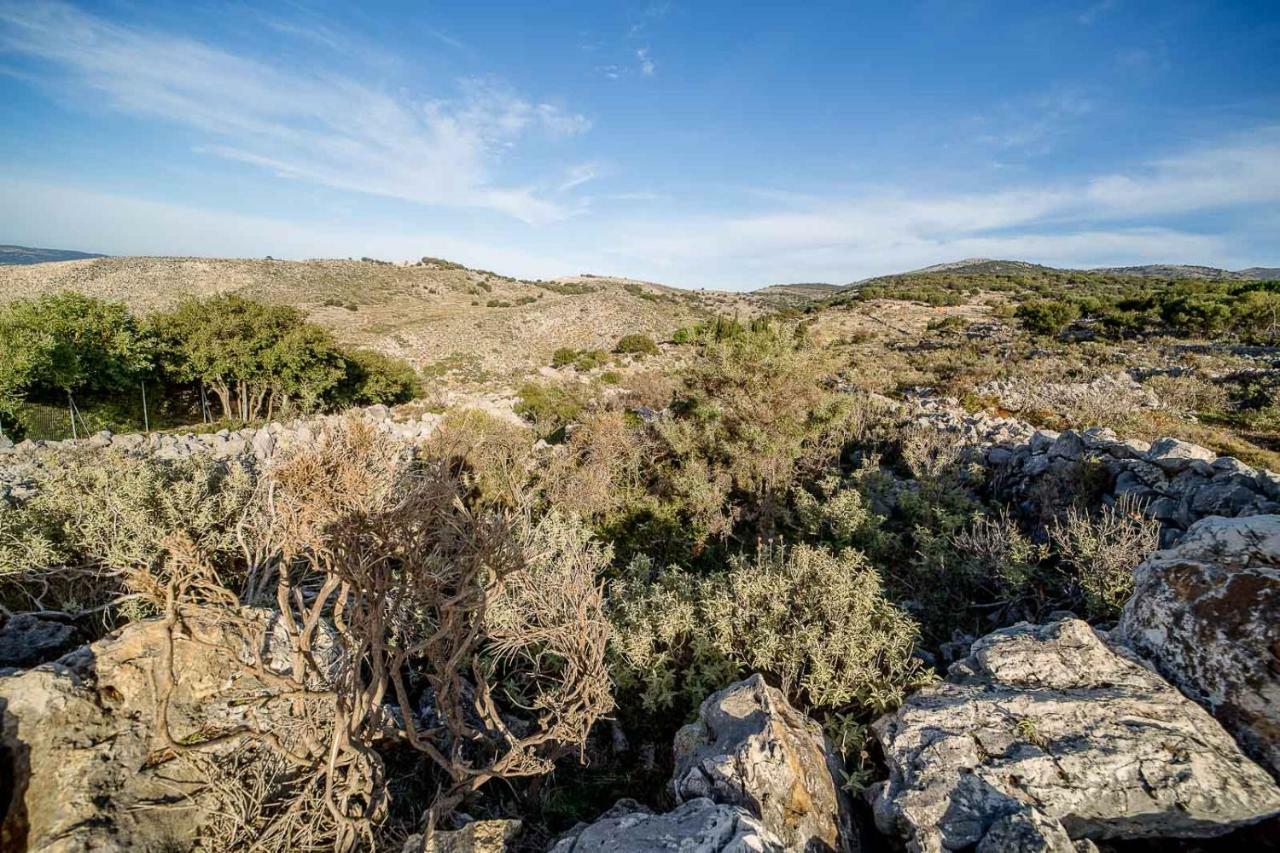 Art Studio Kefalonia Dhavgáta Екстериор снимка